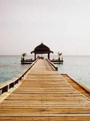 Grave Robbing: Openi