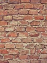 The Beloved Physicia