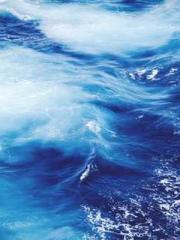 Double Blessing: CEO