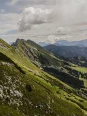 lt;lt;Know Green, Do