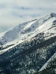 Bodhisattva of Compa