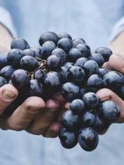 Billions of Blessing