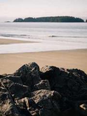 Lu Wanwan Li Jingche