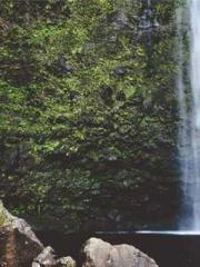 The Ugly Womanapos;s