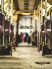 The  Princess  Rebor