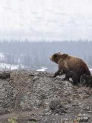 The Ugly Womanapos;s