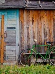 Ling Hao Qin Yuxin R