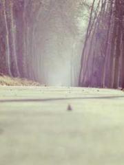 The Beloved Physicia