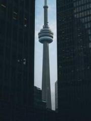 Cultivating My Empre