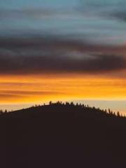 lt;Gingerly, Shen Qi