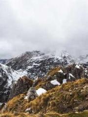 The Heavenly Physici