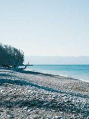 lt;Gingerly, Shen Qi