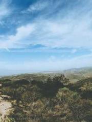 Becoming a solitary 