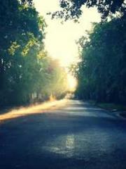 lt;lt;lt;Visionary S