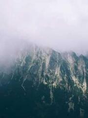 Becoming a solitary 