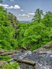 lt;Jingyuan Rong Sha