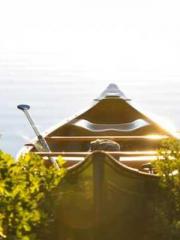 My pets are all amaz