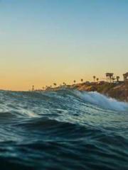 The Stand-in Wife Wa