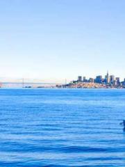 Cold-hearted Inkapos